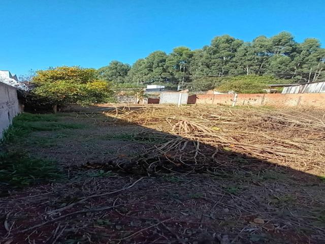 Venda em Bairro Castanheira - Ponta Grossa
