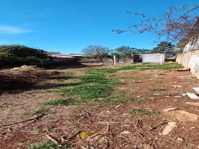 #48 - Terreno para Venda em Ponta Grossa - PR - 3