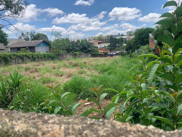 #122 - Terreno para Venda em Ponta Grossa - PR - 2