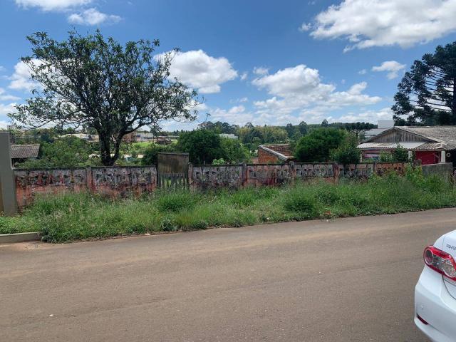 #122 - Terreno para Venda em Ponta Grossa - PR - 3