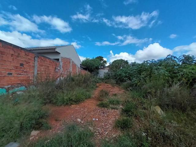 #139 - Terreno para Venda em Ponta Grossa - PR - 1
