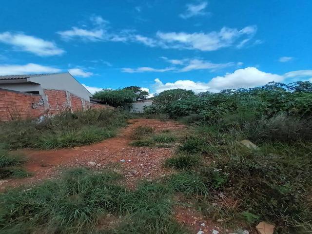 #139 - Terreno para Venda em Ponta Grossa - PR - 3